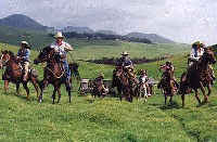 Paniolo Riding Adventures