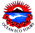 Ocean Eco Tours